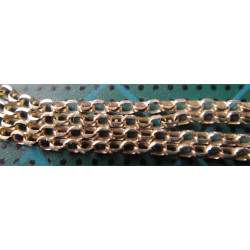 Uzun Gümüş Zincir_383