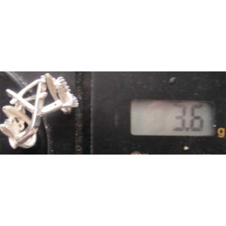 Yaprak Formunda Gümüş Küpe_386