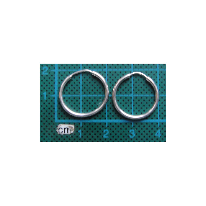 Gümüş Halka Küpe_394