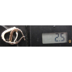 Zirkon Taşlı Gümüş Küpe_401