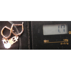 Baykuşlu Gümüş Küpe_417