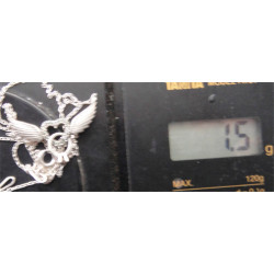 Kanatlı Kalplı Gümüş Kolye Ucu_1698