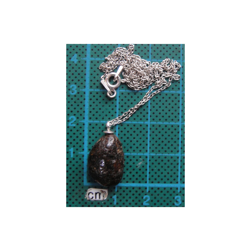 Kehribar Taşlı Gümüş Kolye Ucu_1706