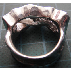 Gümüş Yüzük_1345