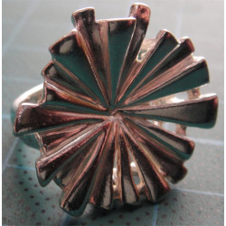 Gümüş Yüzük_1355