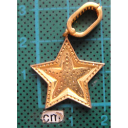 Zirkon Taşlı Yıldızlı Gümüş Kolye Ucu_1726