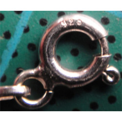 Gümüş Kolye Ucu_1737