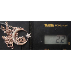 Allah Yazılı Türk Bayrağı Gümüş Kolye Ucu_1770