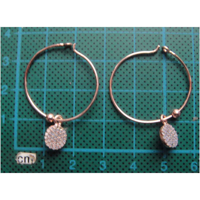 Silver Earring_419