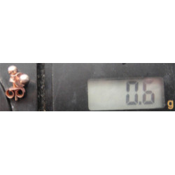 Gümüş Top Küpe_424