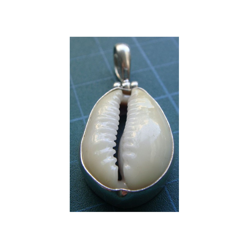 Sea Shell Pendant_283