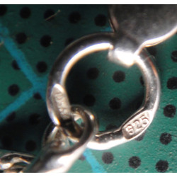 Silver Chain_529