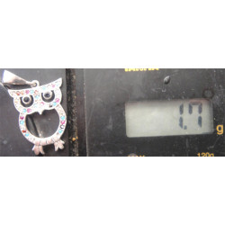 Gümüş Baykuş Kolye Ucu_1842