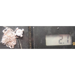 Tek Taş Gümüş Kolye Ucu_1889