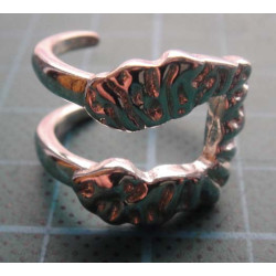 Silver Ring_1388