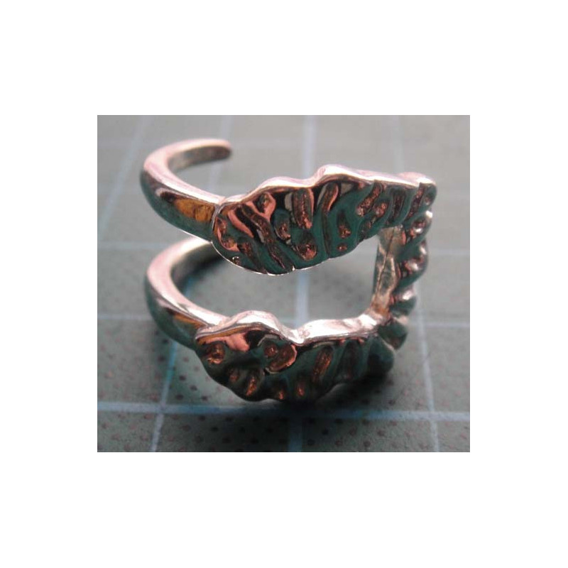 Silver Ring_1388