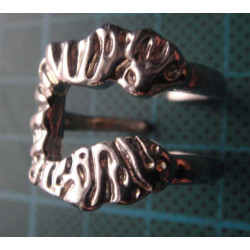 Silver Ring_1388