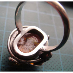 Amber Stone Leaf Motif Silver Ring_1412