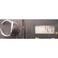 Helvetia Silver Ring_1462