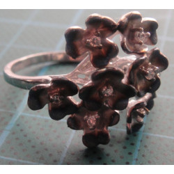 Silver Ring_1505