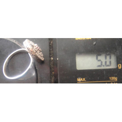 Silver Ring_1560