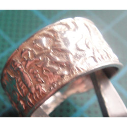 Silver Ring_1563