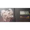 Silver Chain_542