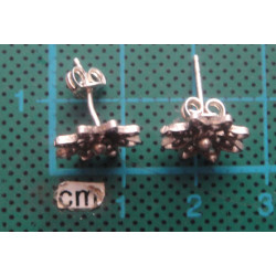Silver Earring_462
