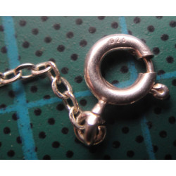 Silver Chain_572