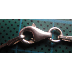 Silver Chain_564