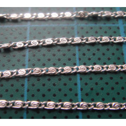 Silver Chain_583