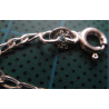 Silver Chain_588