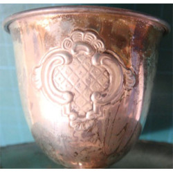 Gümüş Yumurtalık_369