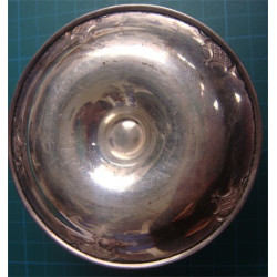 Gümüş Yumurtalık_369