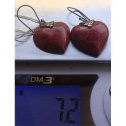 Mercan Taşlı Gümüş Küpe_60