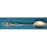 Twelve Tea Spoon Set