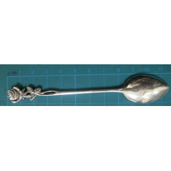 Twelve Tea Spoon Set and Sugar Tongue