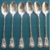 Six Tea Spoon Set