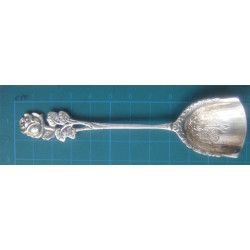 Silver Sugar Spoon_55